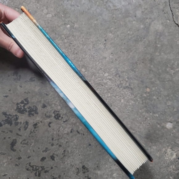 Seeker by William Nicholson (Hardcover book) - Picture 5 of 9